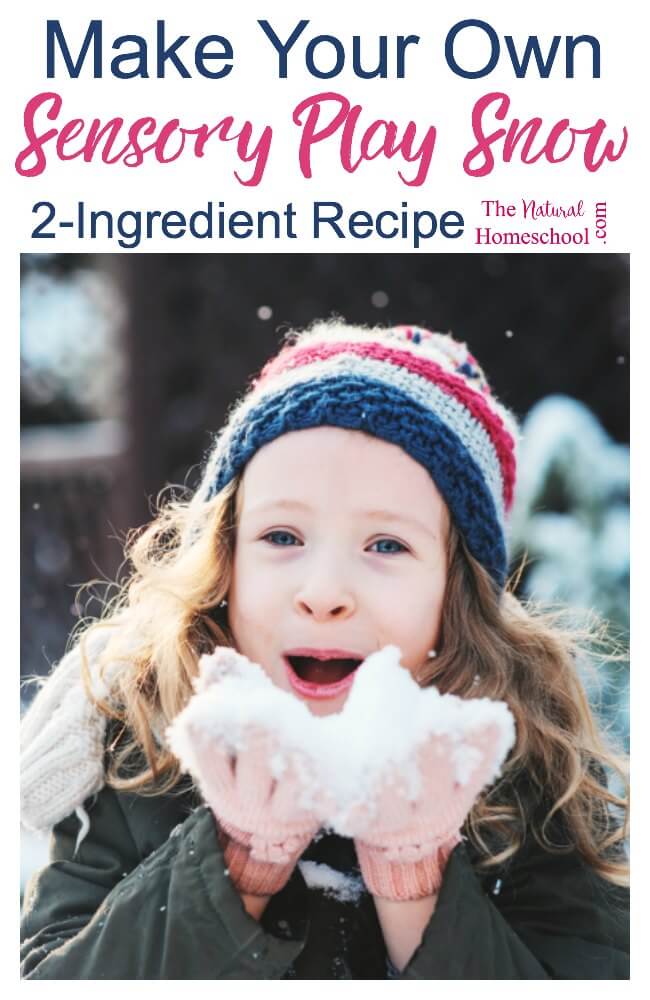 2 Ingredient Snow Recipe