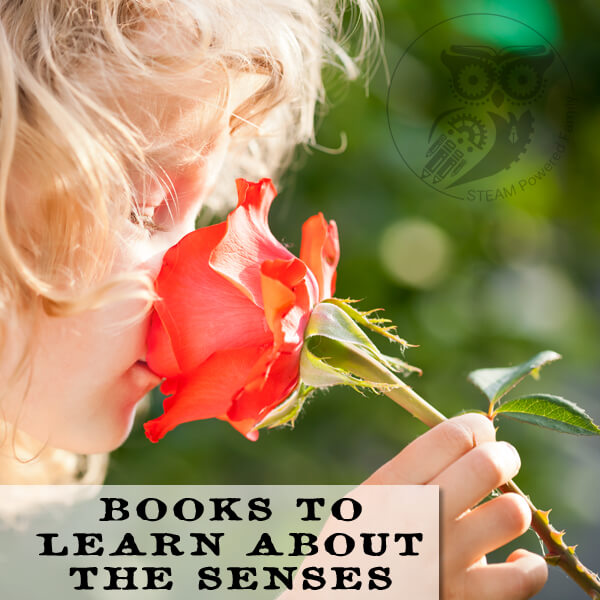 Books To Learn About The Senses