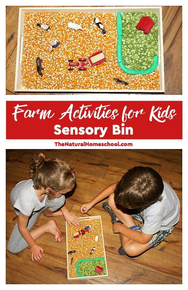 Farm Activities for Kids